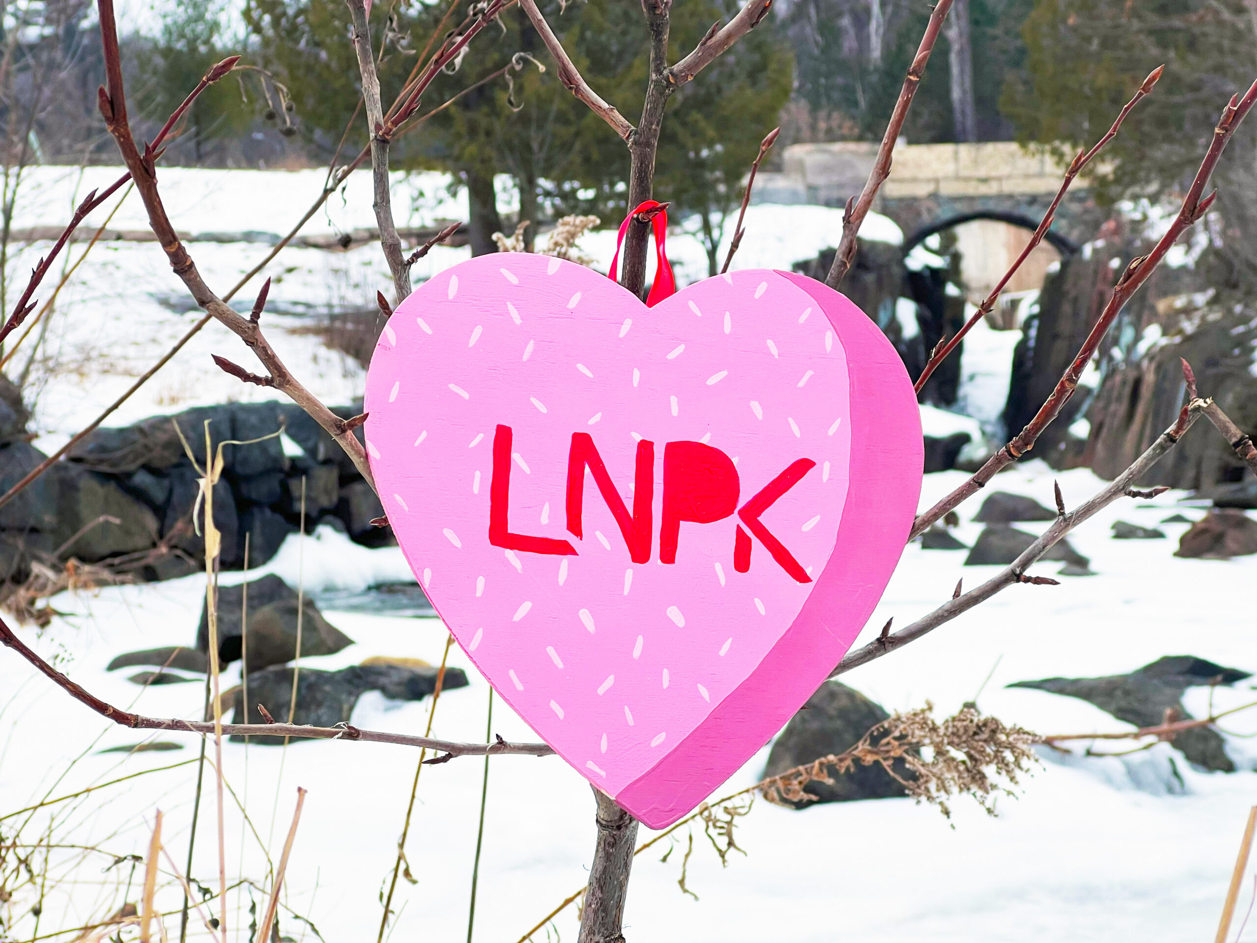 Pink heart with silver polka dots and "LNPK" in red hangs on a tree in front of a frozen creek.