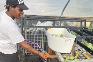 Person uses a hose to wash off a vegetable they are holding in their hand.