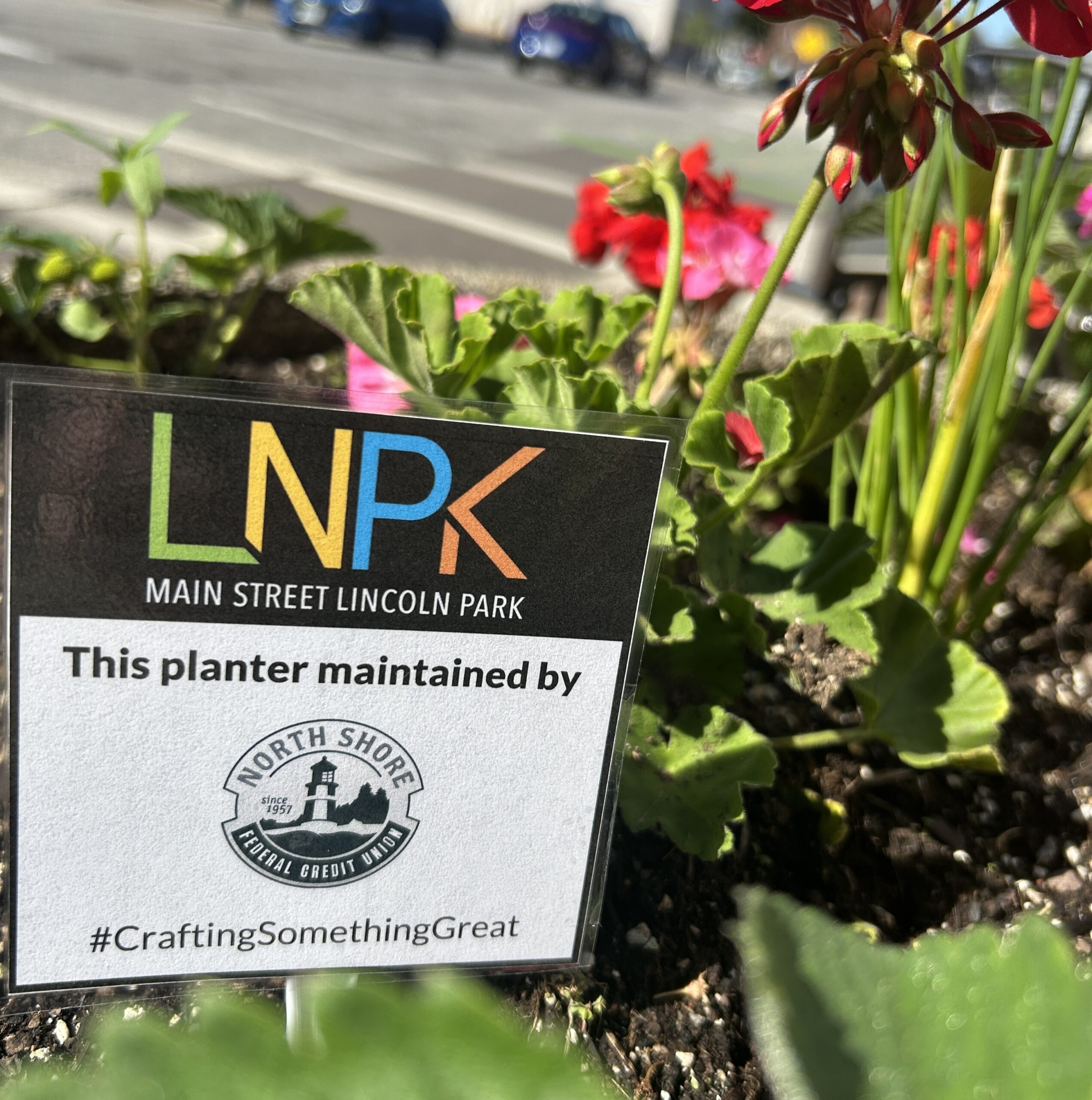 Planter by North Shore Federal Credit Union