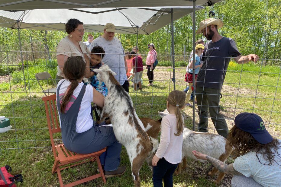 Adults and kids gather around goats in a pen